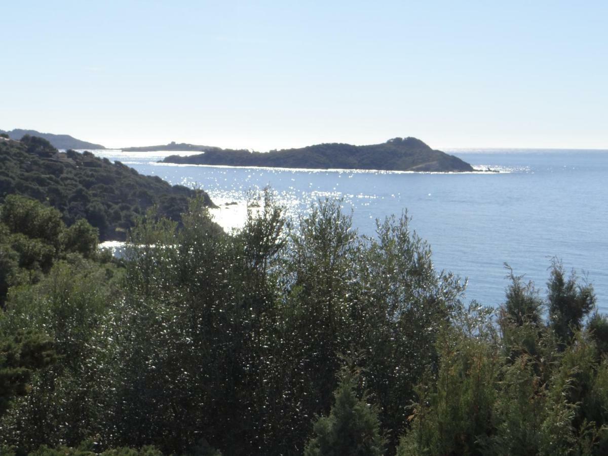 Appartement Vue Mer, Presqu'Il De Giens Hyeres Exterior photo